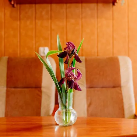 Apartmán Osrodek Wczasowy Kacperek